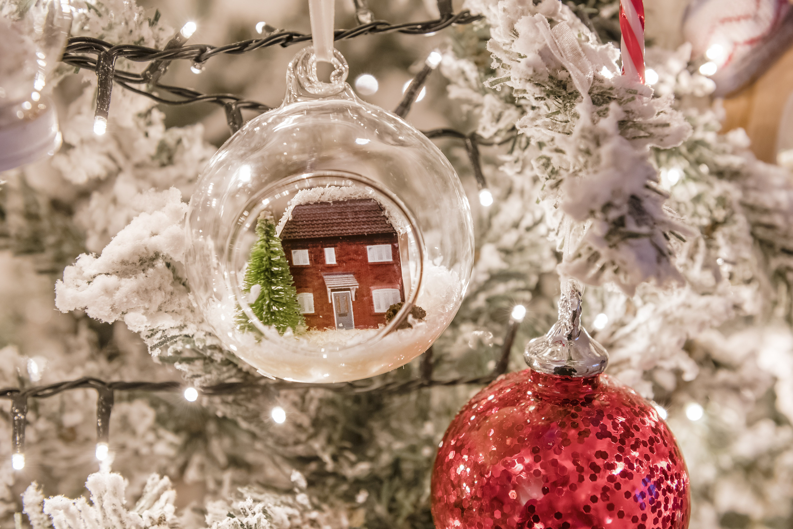 Shropshire Homes Festive Home
