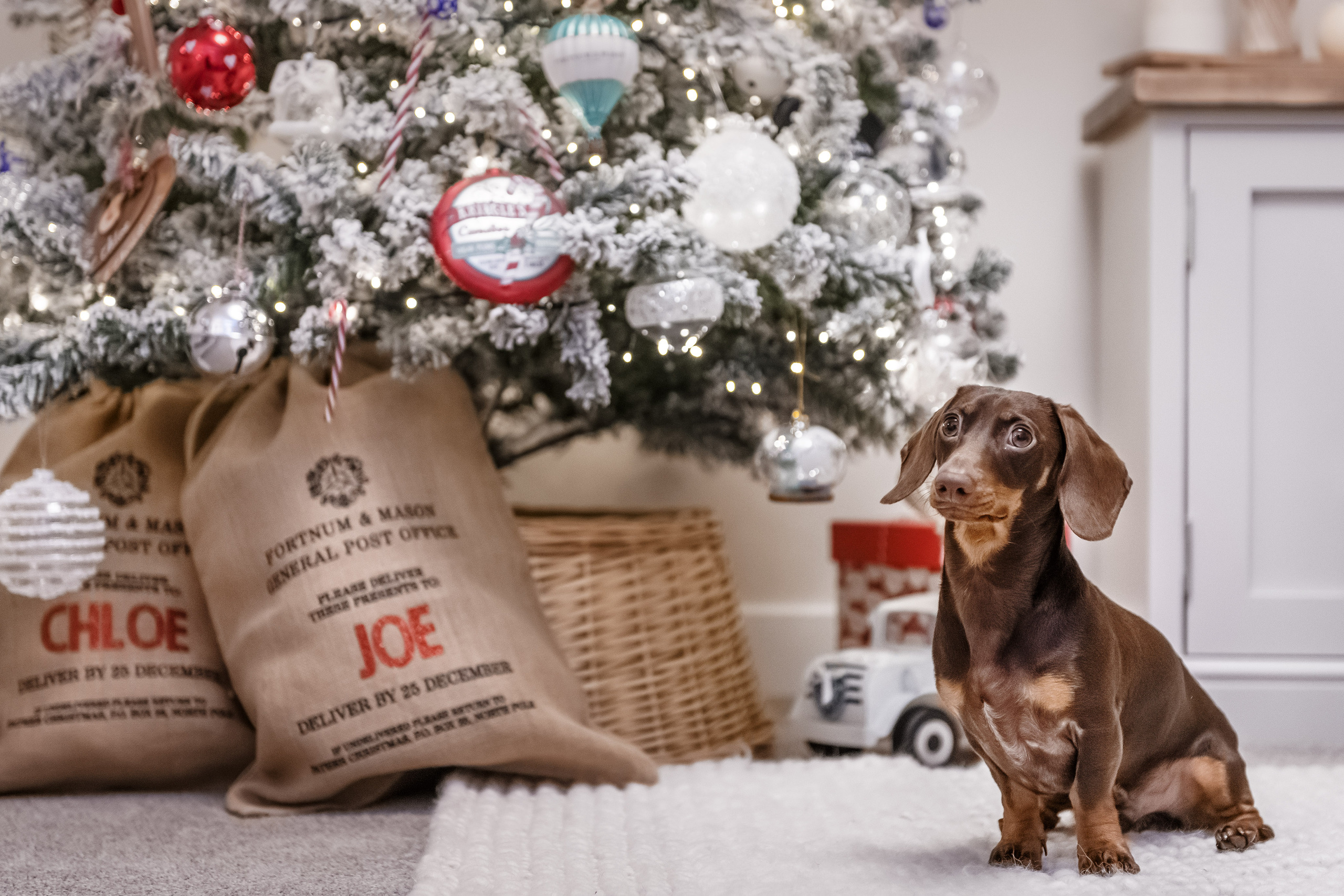 Shropshire Homes Festive Home