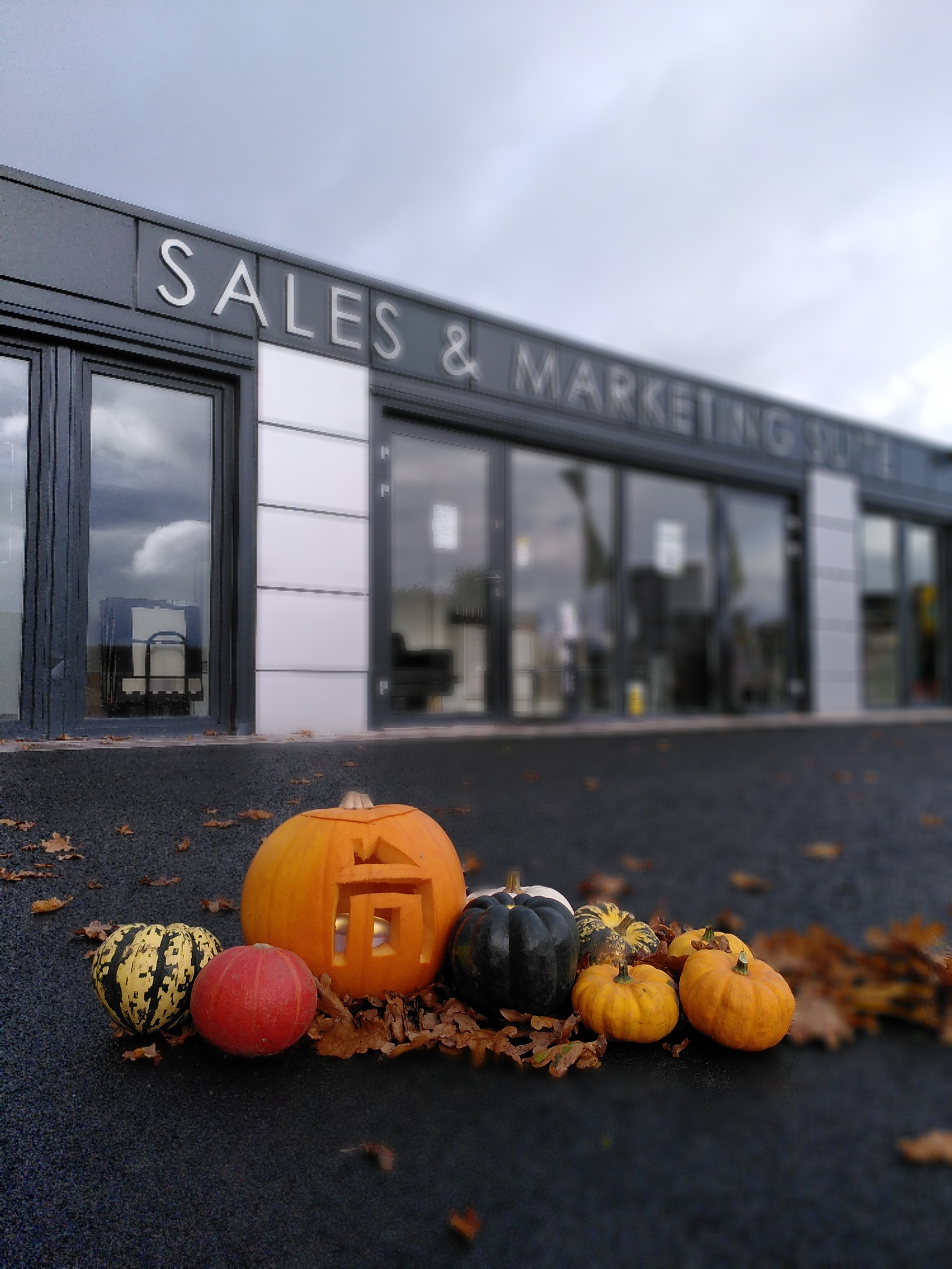 Ivetsey social pumpkin
