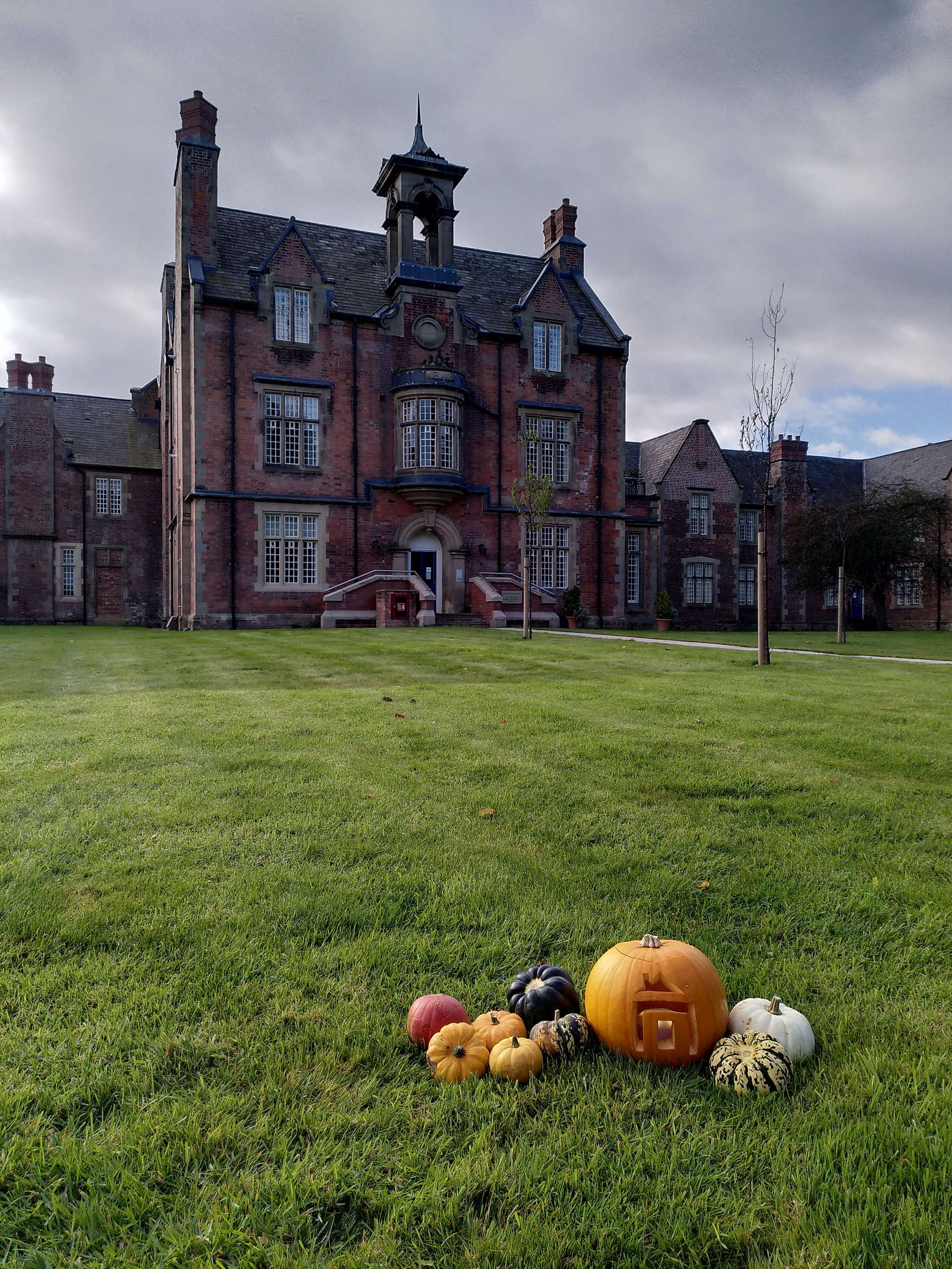 Leighton park pumpkin