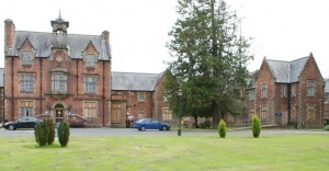 shelton old