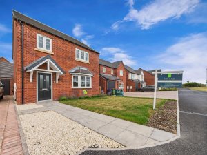 Fenton Plot 5