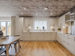Kitchen/dining/family
