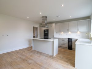 Kitchen/dining/family area