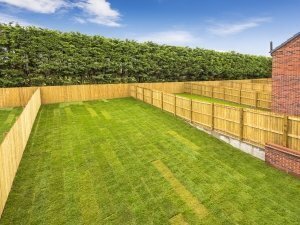 Rear garden