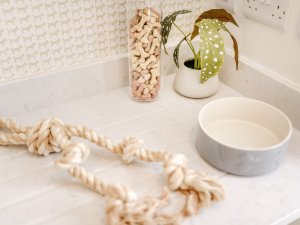 Ryton Show Home