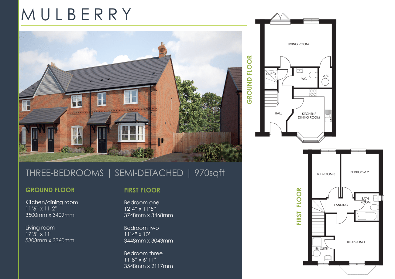 Mulberry