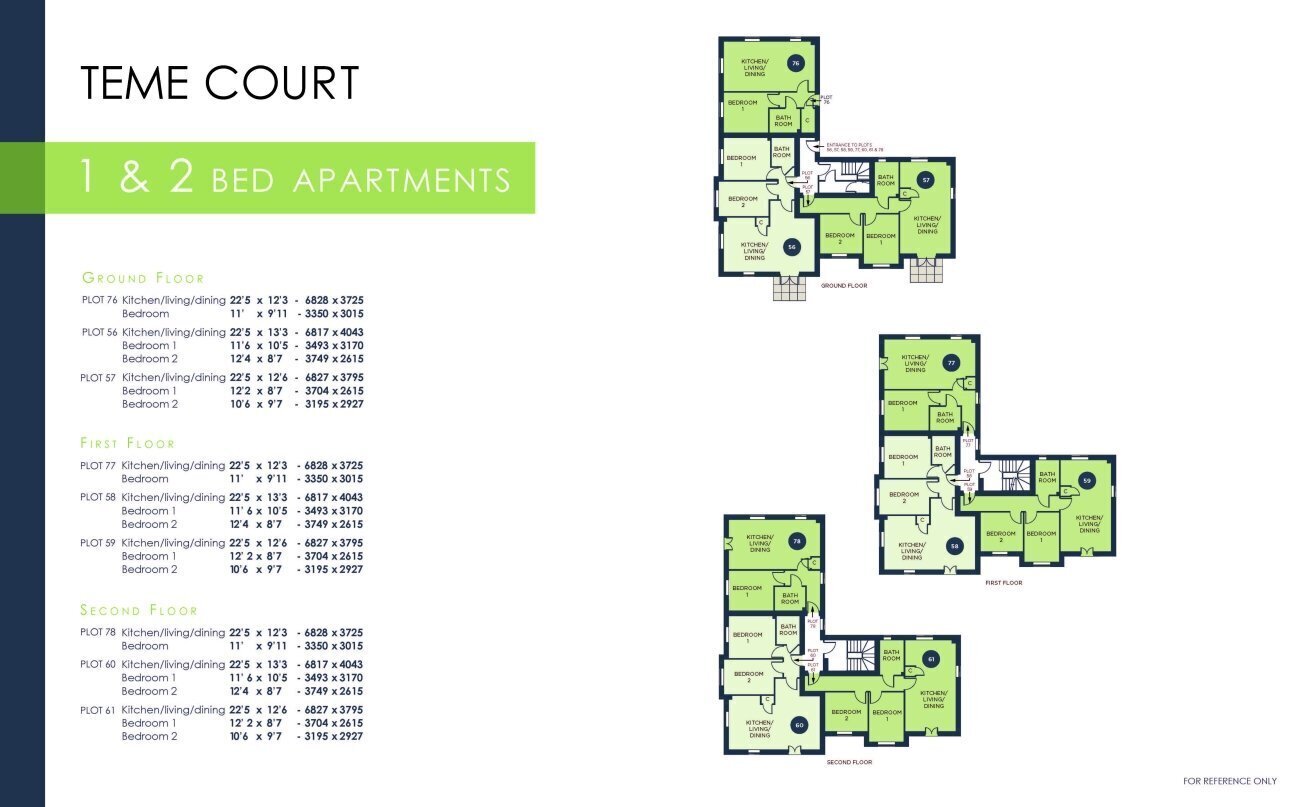 teme court 