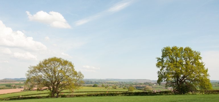 Orleton