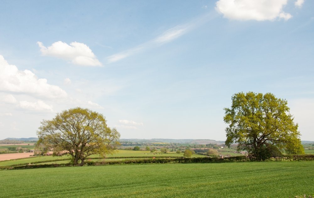 Orleton